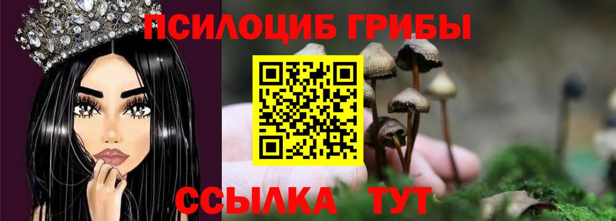 Галлюциногенные грибы мицелий  Вход с VPN  Осинники  Галлюциногенные грибы мухоморы 
