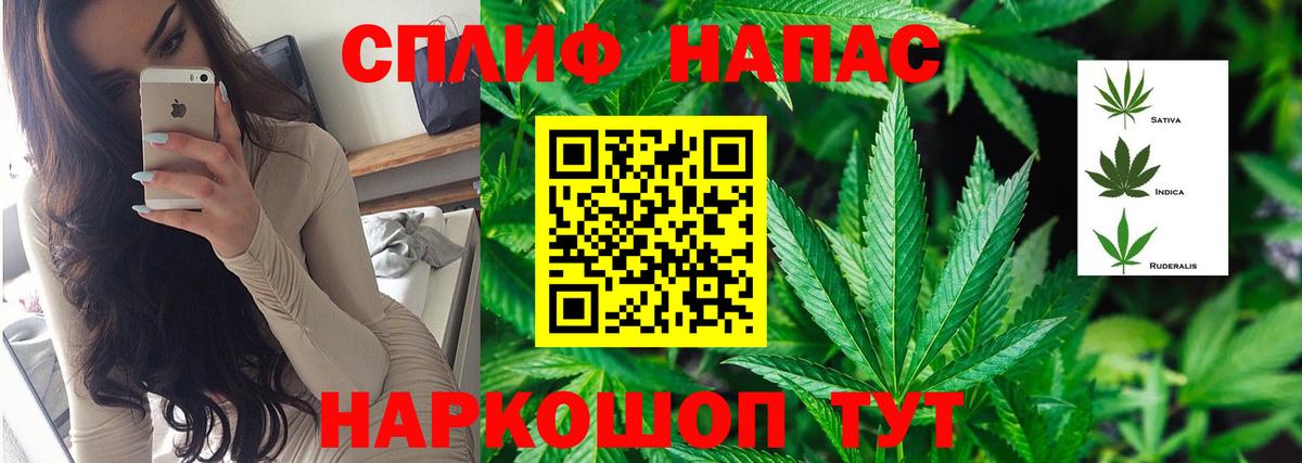 Бошки марихуана Bruce Banner  МАРИХУАНА ГИДРОПОН  Осинники  Вход с VPN  Канабис Bruce Banner 